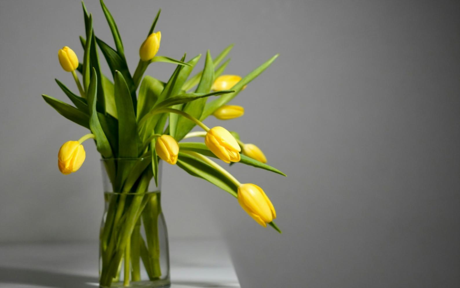 Professional floral arrangement setup with climate-controlled mobile unit