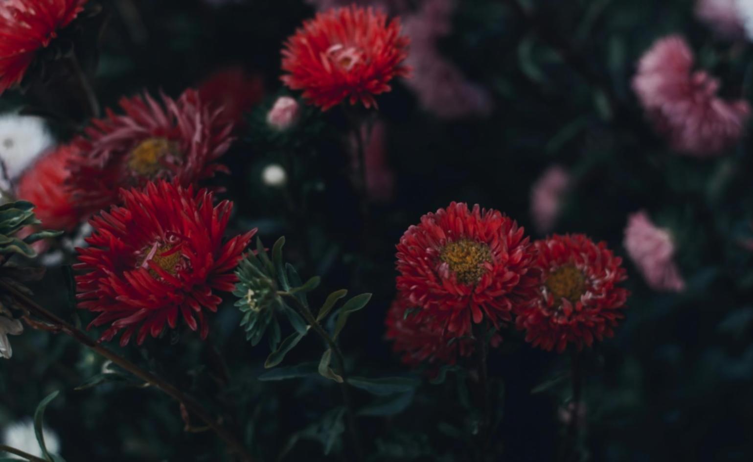 Behind-the-scenes view of Zaniah Quanterix mobile floral preparation facility